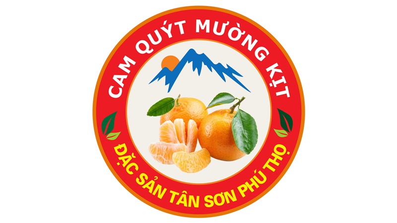 VỀ CHÚNG TÔI 