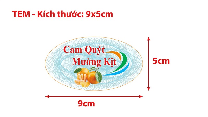 Nhãn hiệu: CAM QUÝT MƯỜNG KỊT ĐẶC SẢN TÂN SƠN PHÚ THỌ