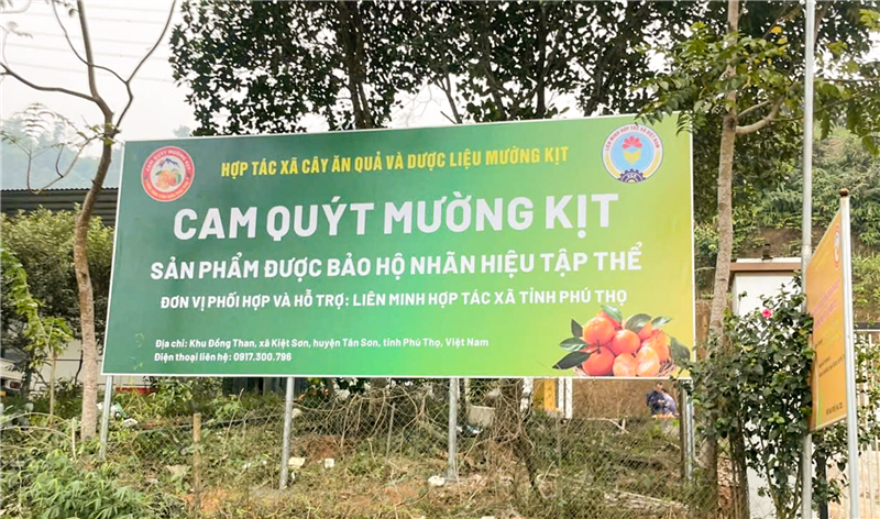 Công bố Quyết định và trao quyền sở hữu nhãn hiệu tập thể “cam, quýt Mường Kịt” của huyện Tân Sơn